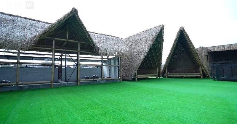 Youtube.com/TAULANY TV